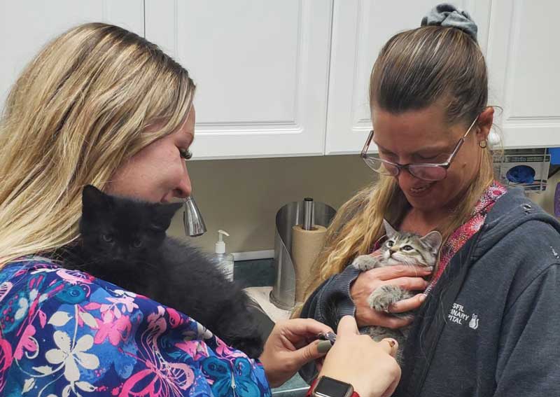 Carousel Slide 6: Join our amazing team!