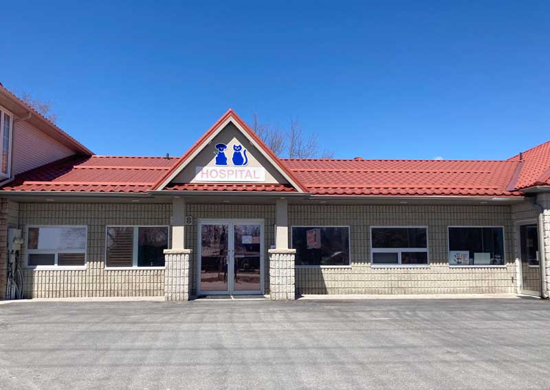 Carousel Slide 4: Learn more about us!